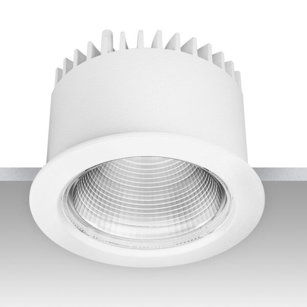 ROY χωνευτό σποτ