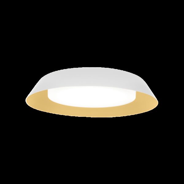 TOWNA φωτιστικό οροφής - τοίχου