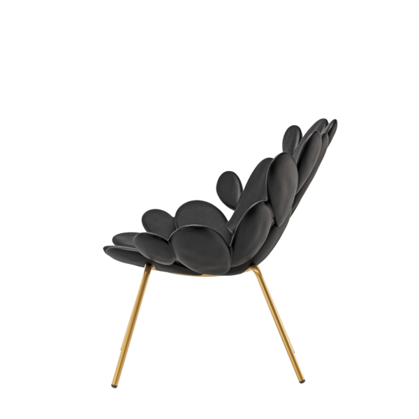 1884-641e234c889b4413b8c11bd2b815065b FILICUDI ΠΟΛΥΘΡΟΝΑ