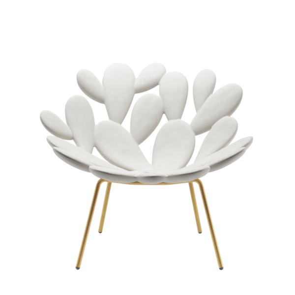 1884-d4ae3af820a043b99f40917547d9dd0d FILICUDI ΠΟΛΥΘΡΟΝΑ