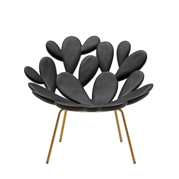 1884-mainImage FILICUDI ΠΟΛΥΘΡΟΝΑ