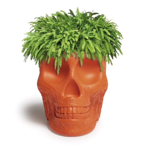 MEXICO γλάστρα-θήκη κρασιών