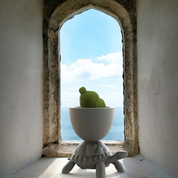 TURTLE CARRY γλάστρα - θήκη κρασιών