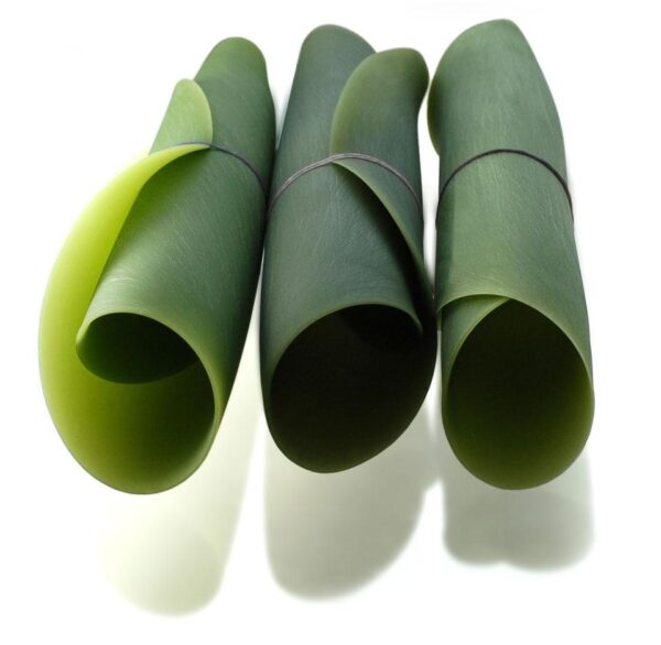 SEASONS MEDIUM πιάτα - συσκευασία 4 τεμαχίων