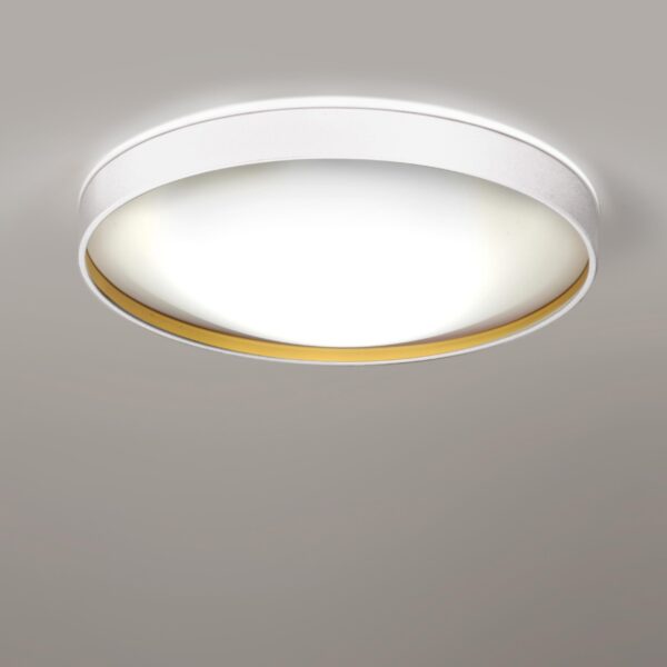 3679-5b56da1505744b66a02cf9d8c5a8e581 ALINA φωτιστικό οροφής