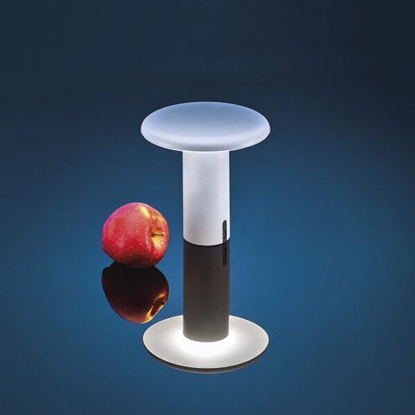 TAKKU φορητό επιτραπέζιο φωτιστικό