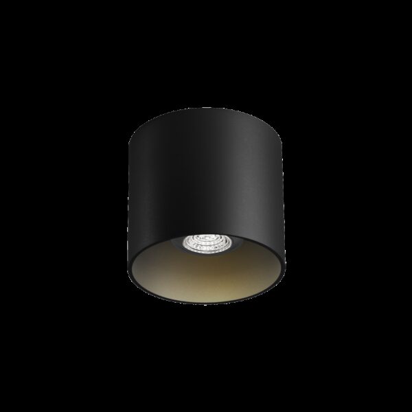 RAY 1.0 PAR16 φωτιστικό οροφής