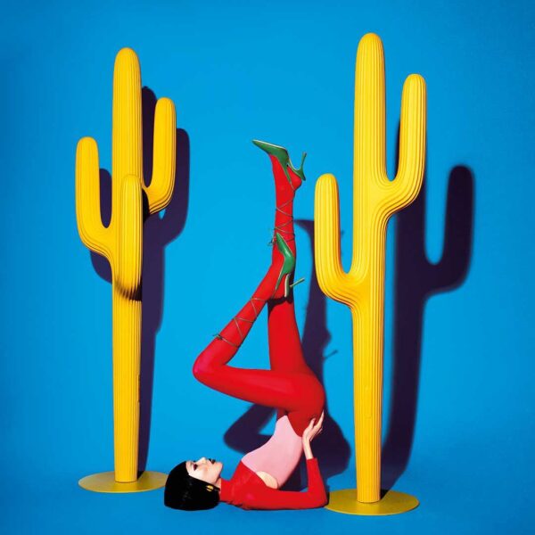 SAGUARO καλόγερος