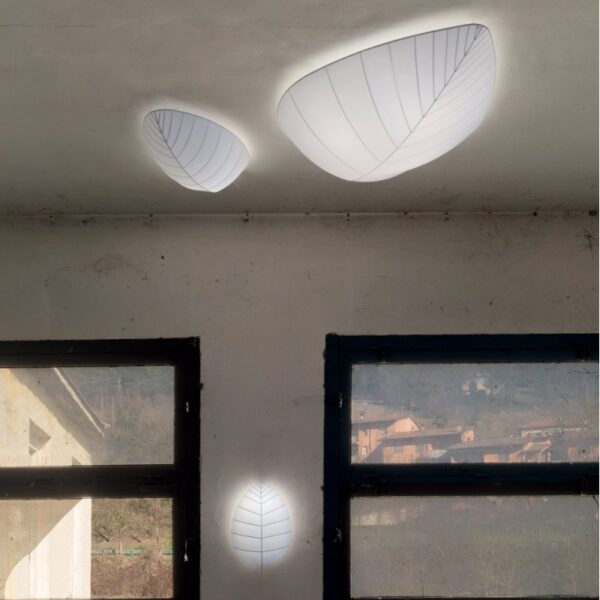 EDEN COLLECTION wall or ceiling lamps
