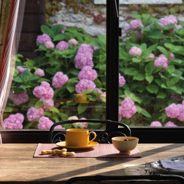 LEVANTE MICRO μπολ - συσκευασία 6 τεμαχίων