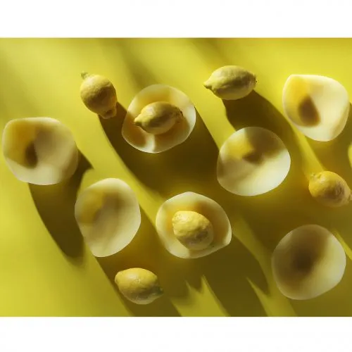 PETAL πιάτα - συσκευασία 4 τεμαχίων