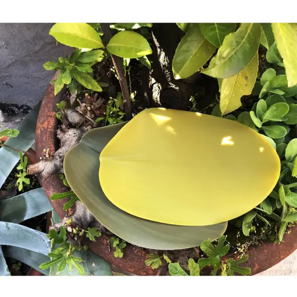 SEASONS MEDIUM πιάτα - συσκευασία 4 τεμαχίων